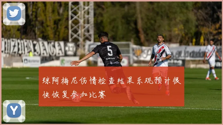 琼阿梅尼伤情检查结果乐观预计很快恢复参加比赛